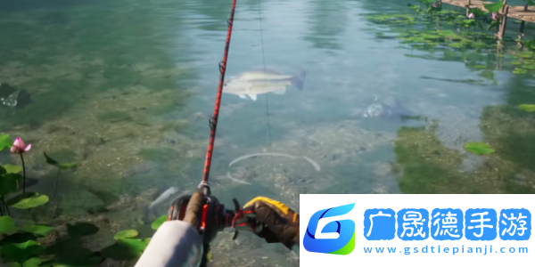 歡樂釣魚大師狐貍直裝版