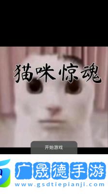 貓咪驚魂下載恐怖版