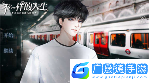 不一樣的人生橙光