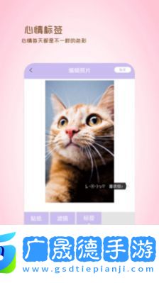 全能美日相機