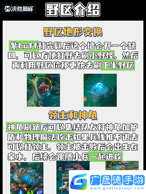 決勝巔峰新玩家打野教學(xué)攻略