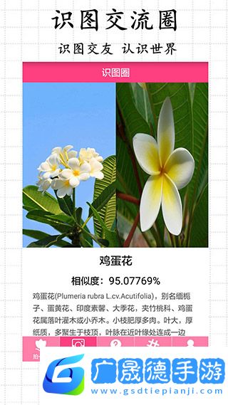 求知拍照識(shí)物