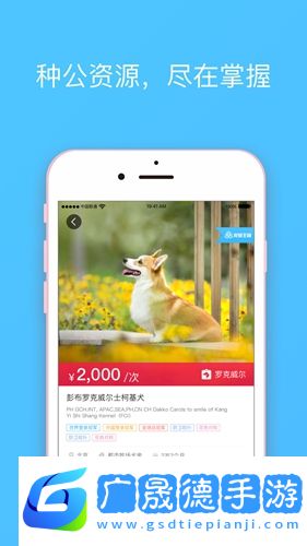 寵愛王國