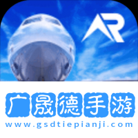 真實飛行模擬器