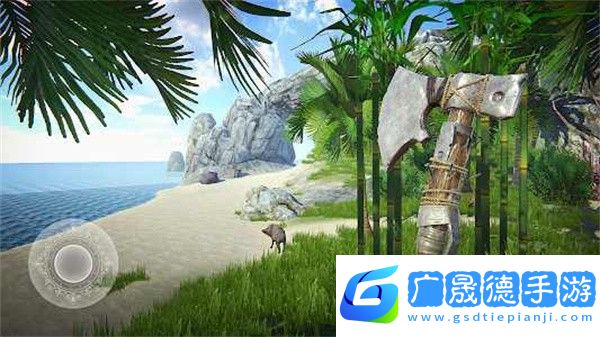 最后一個(gè)海盜島嶼生存