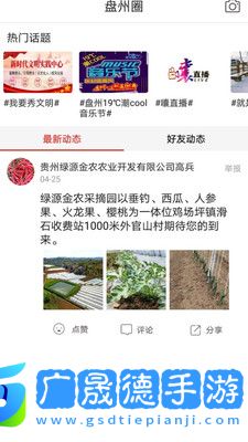 銀杏t官方版下載