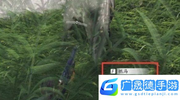 燕云十六聲馬怎么抓燕云十六聲抓馬技巧