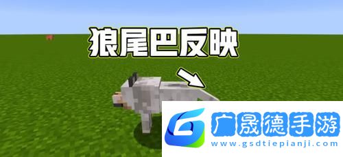 我的世界新版本馴狼秘籍與養(yǎng)狼全攻略