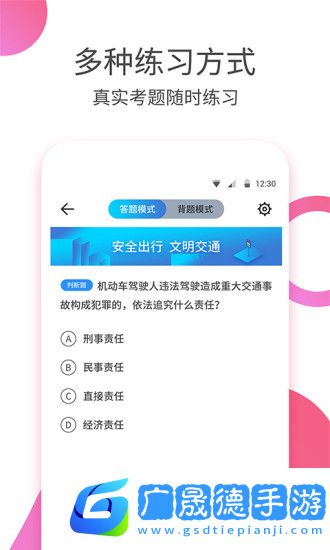 考駕照大師