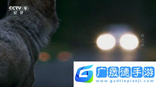 花世界TV版