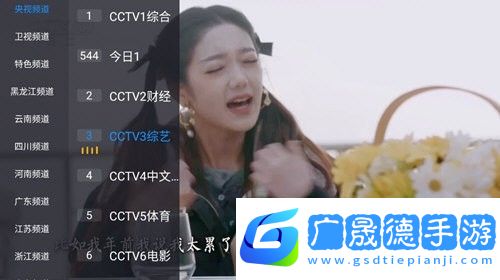 花世界TV版