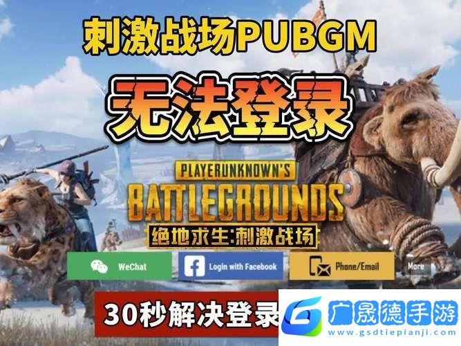 手機(jī)絕地求生無(wú)法登陸