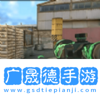 戰(zhàn)狼狙擊行動手游官網(wǎng)版