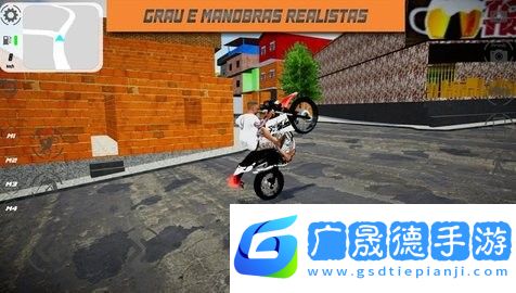 巴西灰色摩托