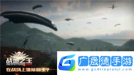 戰(zhàn)地之王