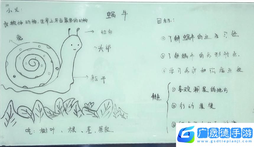 探秘心靈深處