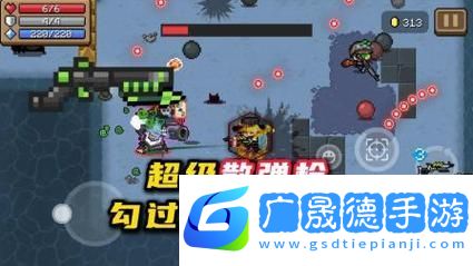 元?dú)怛T士國(guó)王的新槍