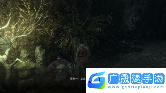 只狼水生的凜支線任務(wù)怎么完成 只狼水生的凜任務(wù)完成方法